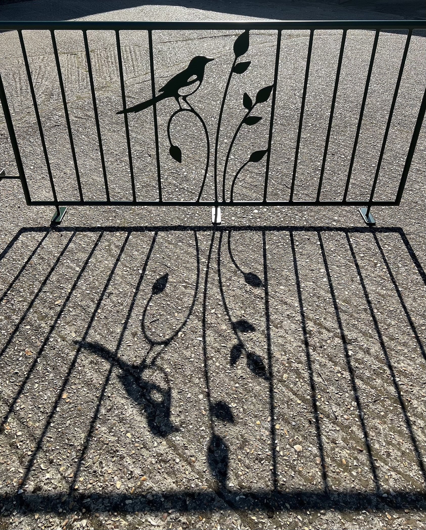 Magpie Railing and shadow
