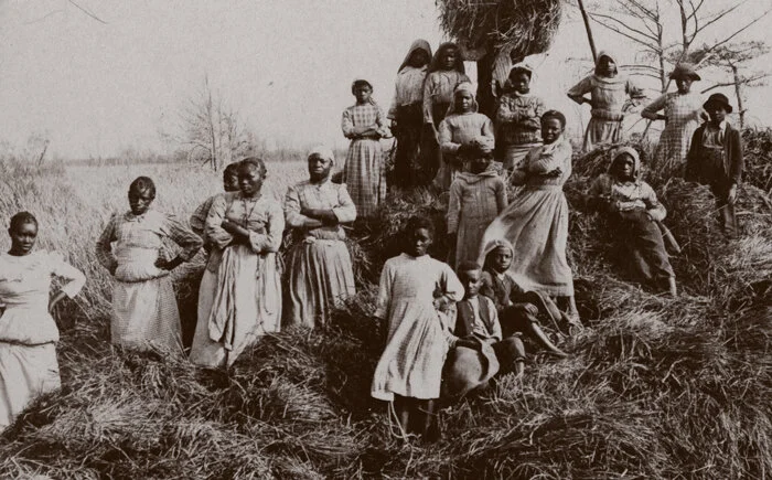 Rice Culture — Gullah Museum of Georgetown