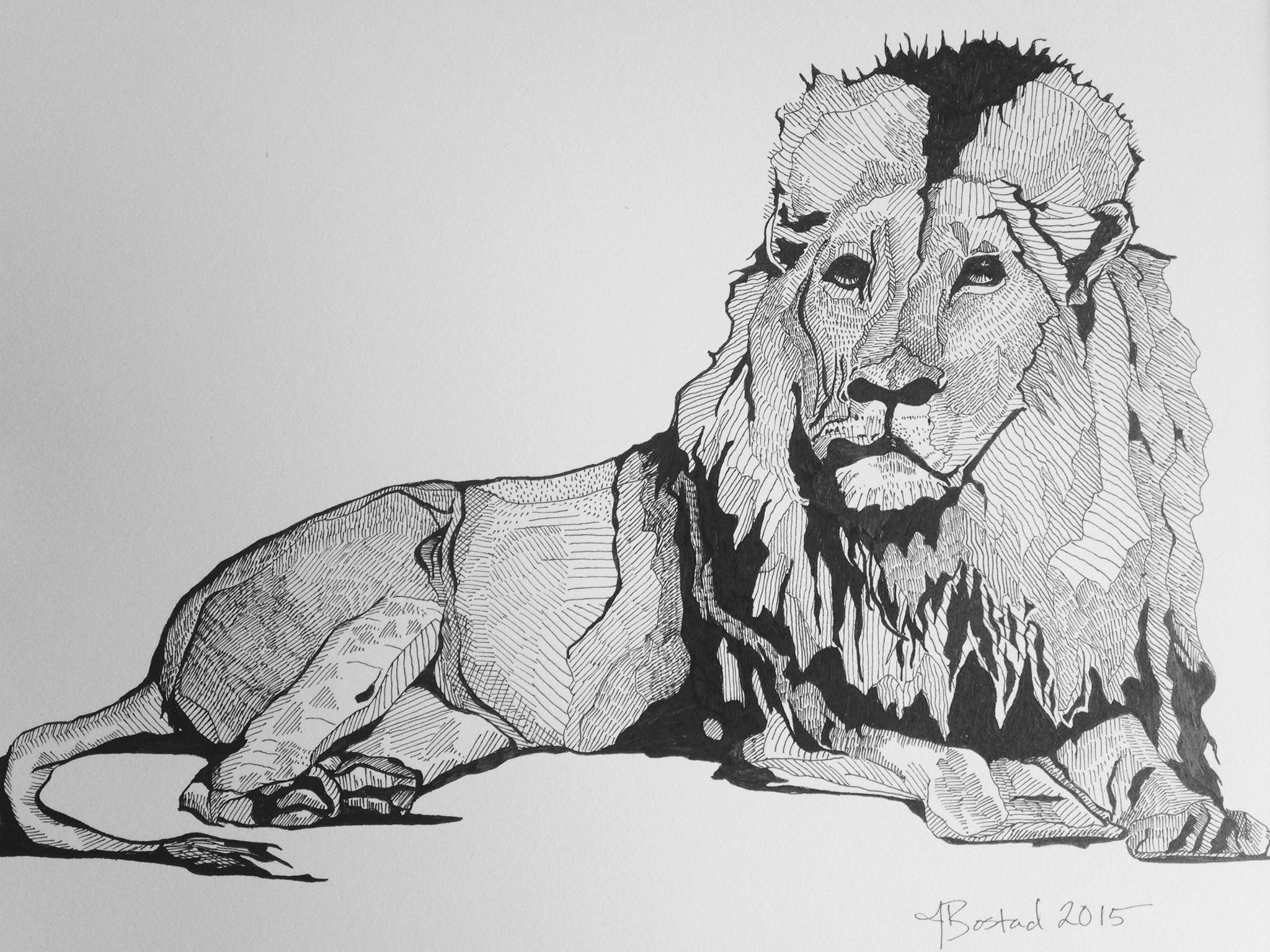 Lion
