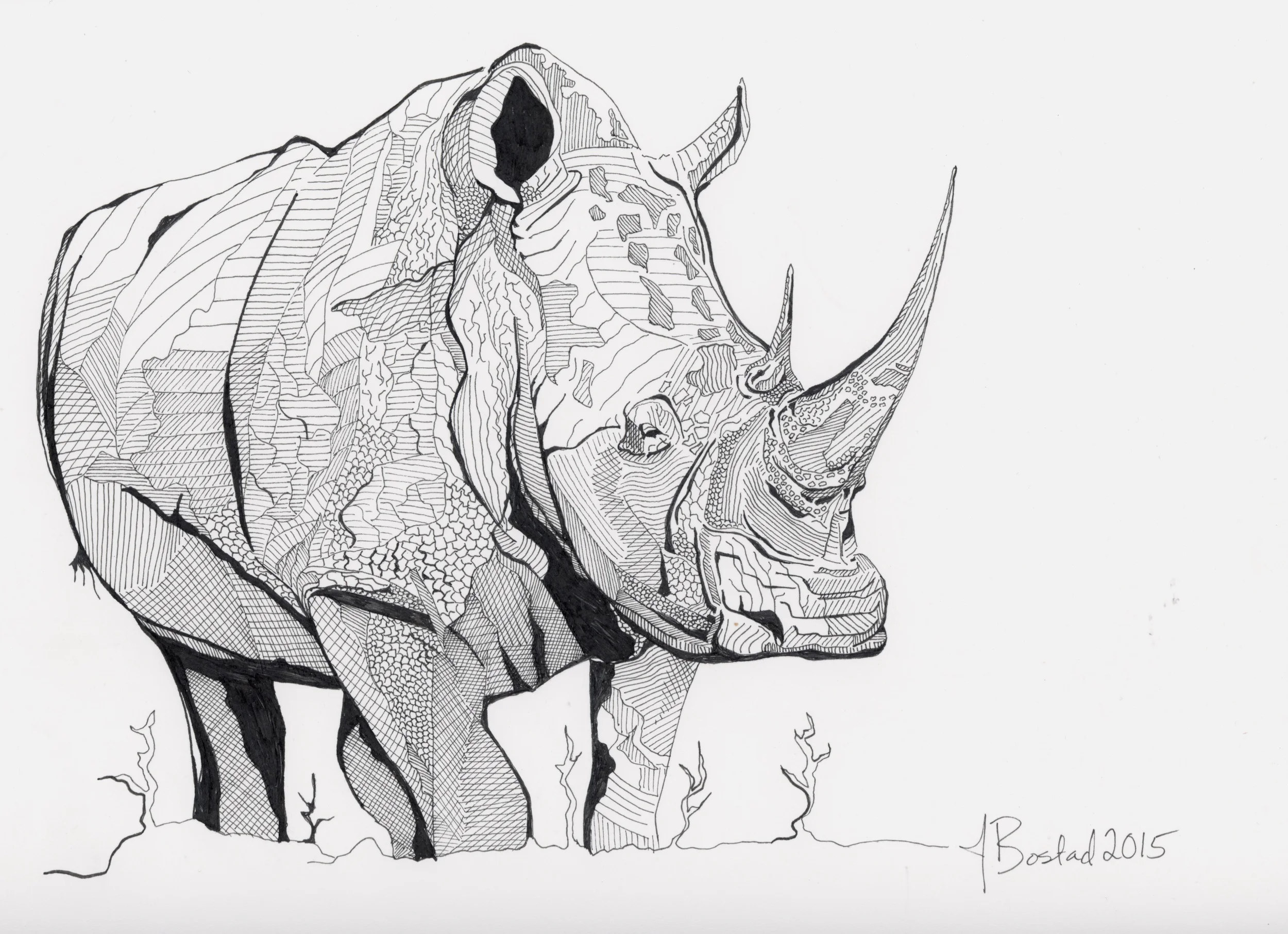 Rhino