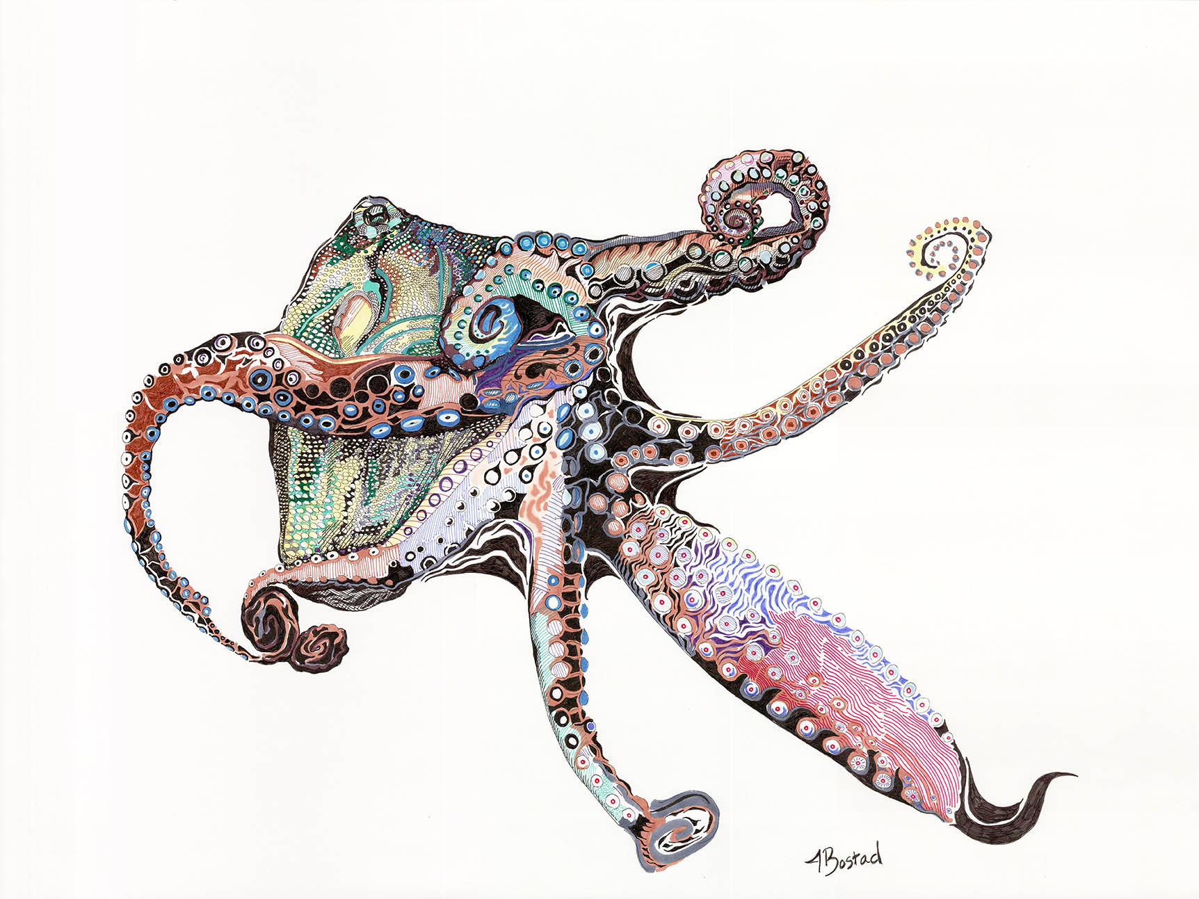 Octopus no. 1