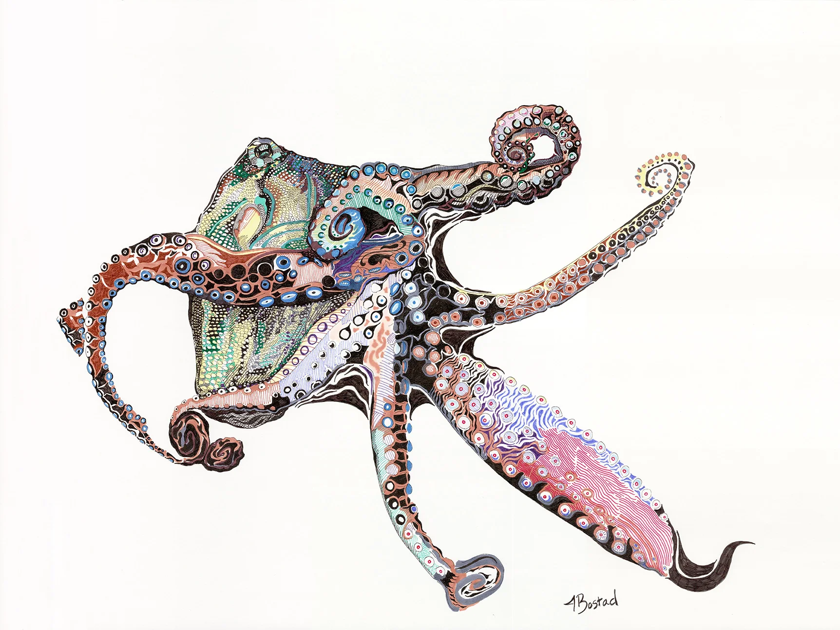 OctopusNumber1Website.jpg