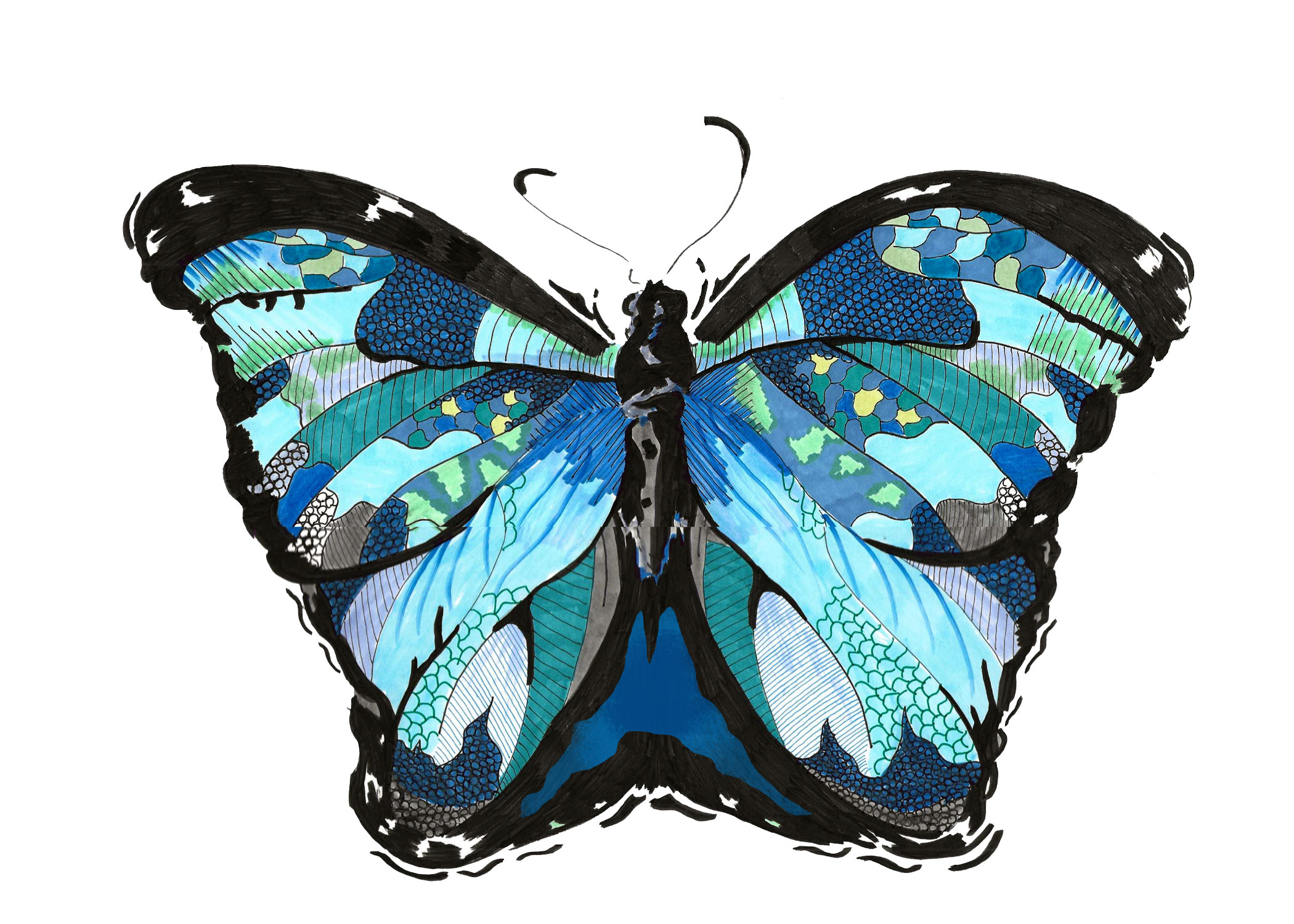 Butterfly.jpg