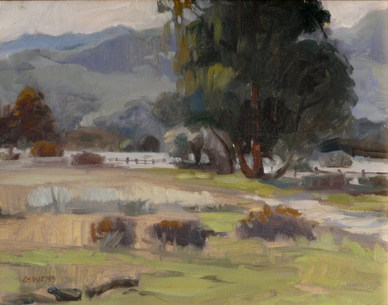 valley-shade-web.jpg