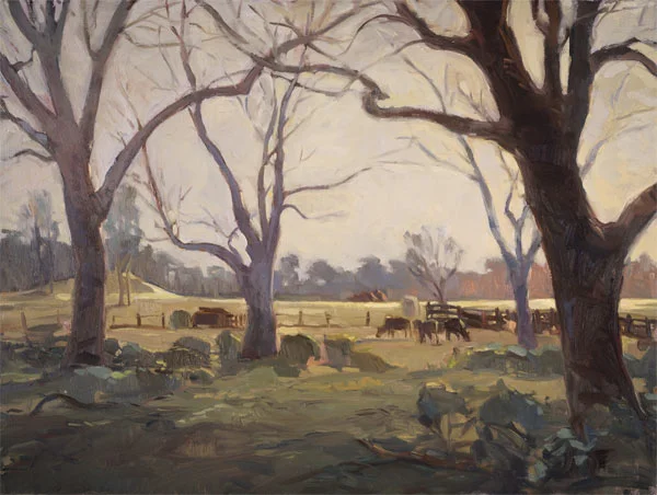 madisoncow.jpg