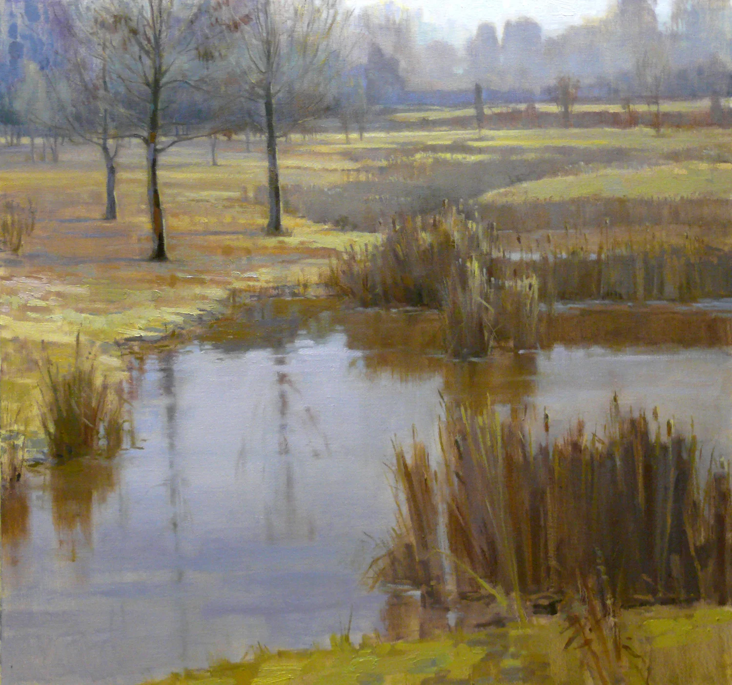 Rock Mill Marsh