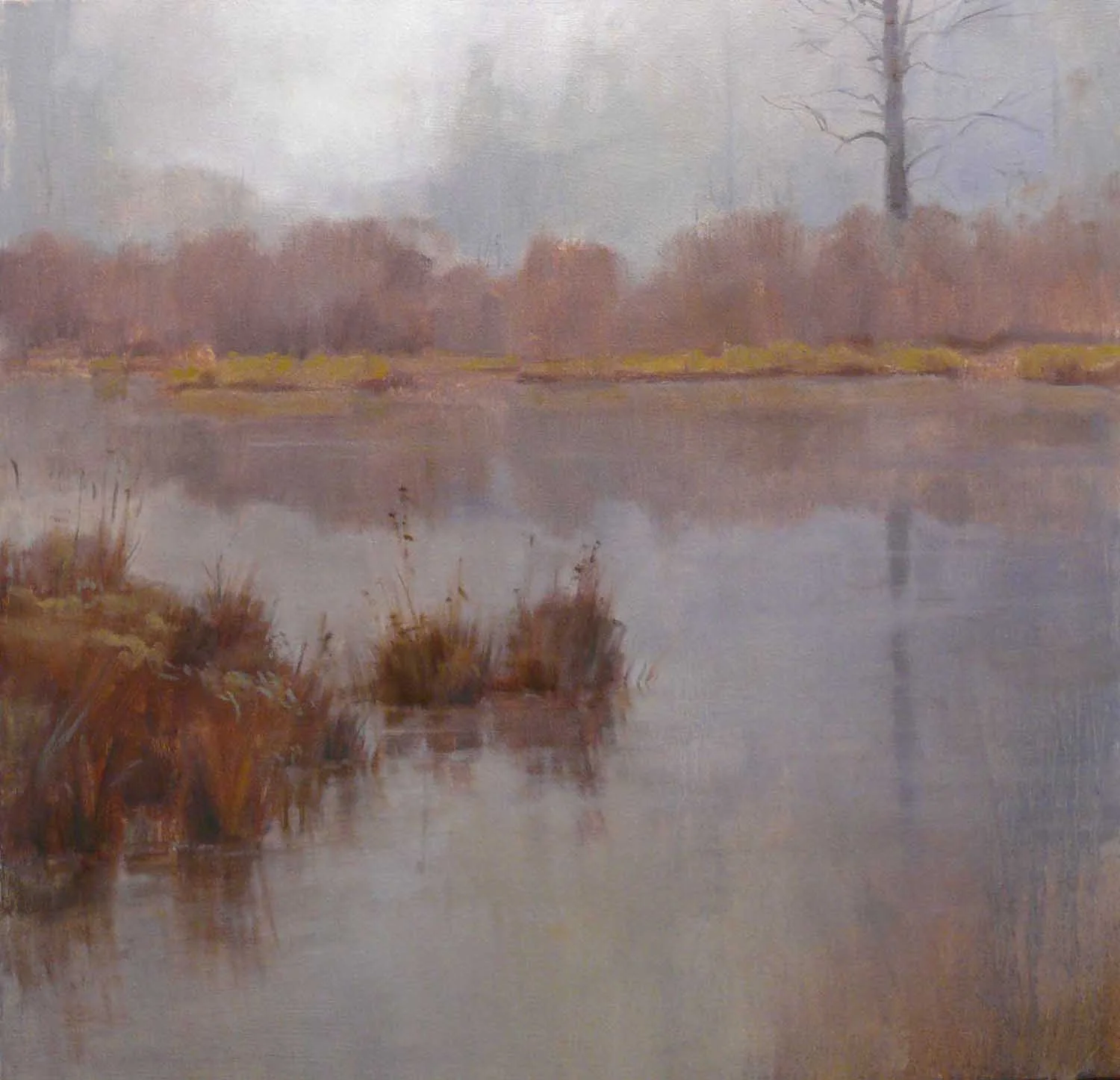 Quiet Waters
