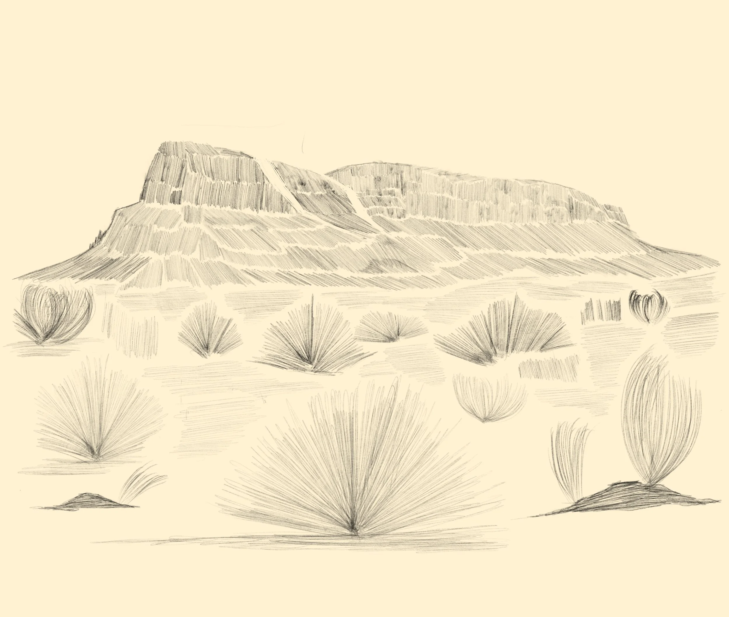 SKM_C25819042210320-02 9.JPG