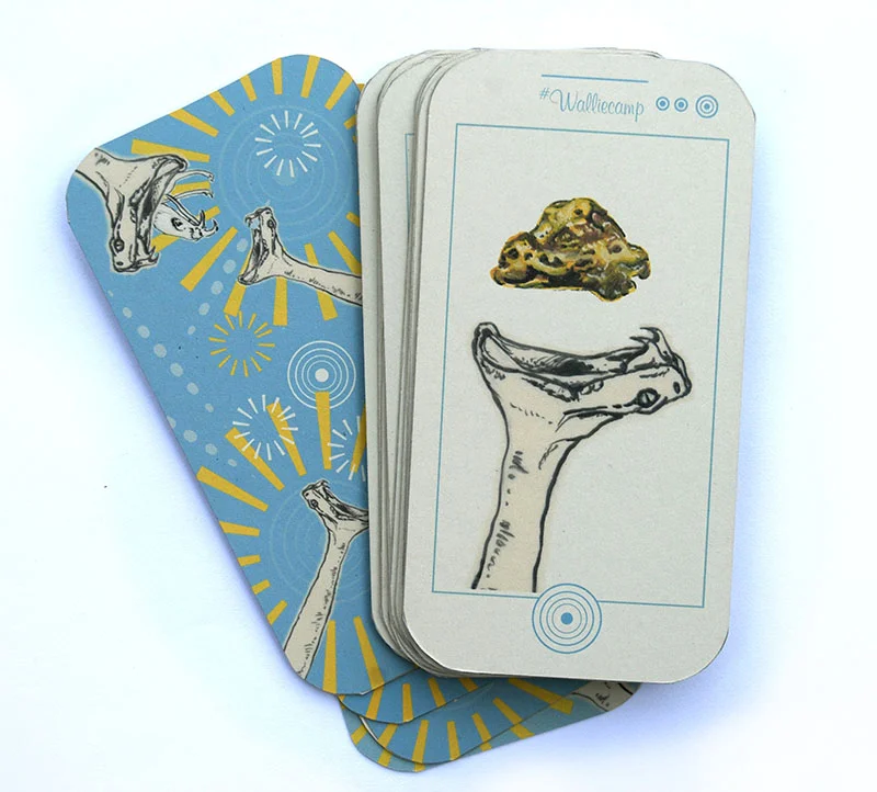 Fortune Phones