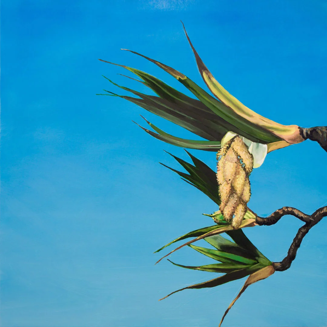 Untitled (Myriorama)