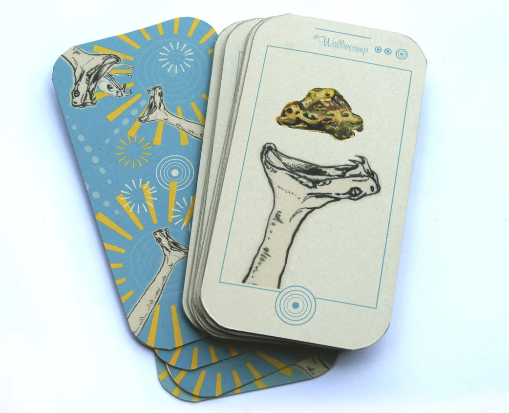 Fortune Phones