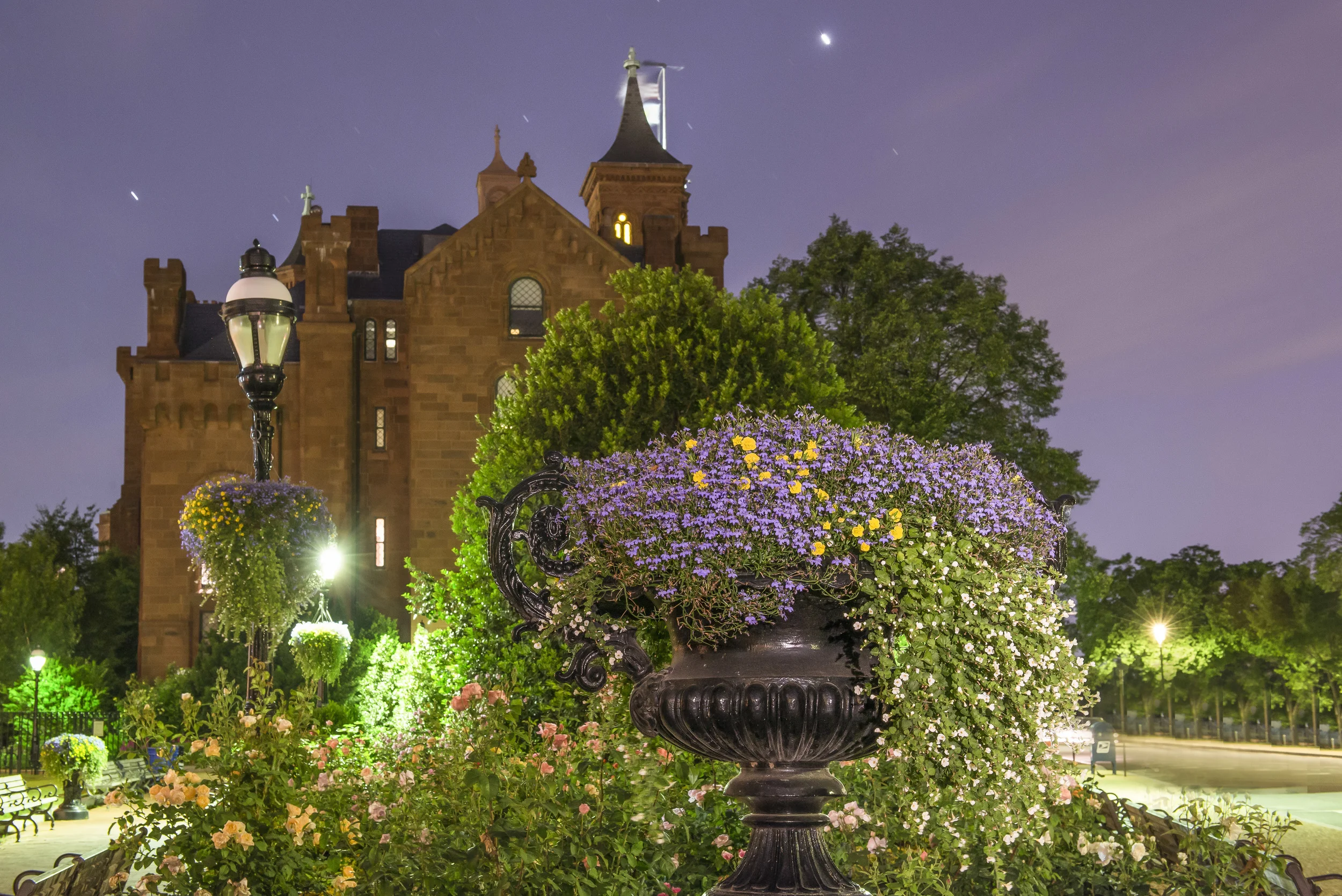 Nocturnal Weeknight Kathrine Dulin Folger Rose Garden, Summer 2015