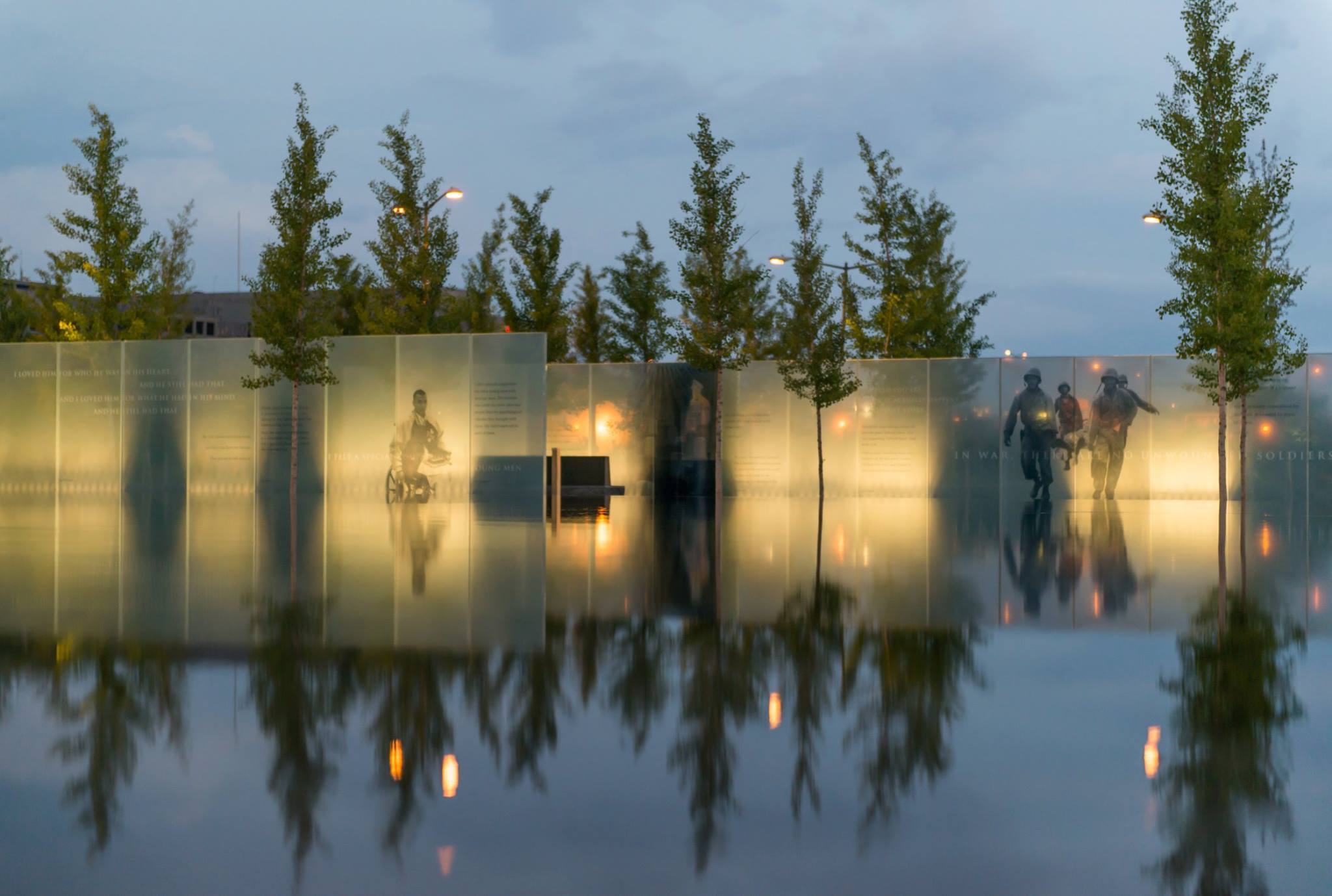 First Place Winner of International Garden Photographer of the Year, "Greening the City"
