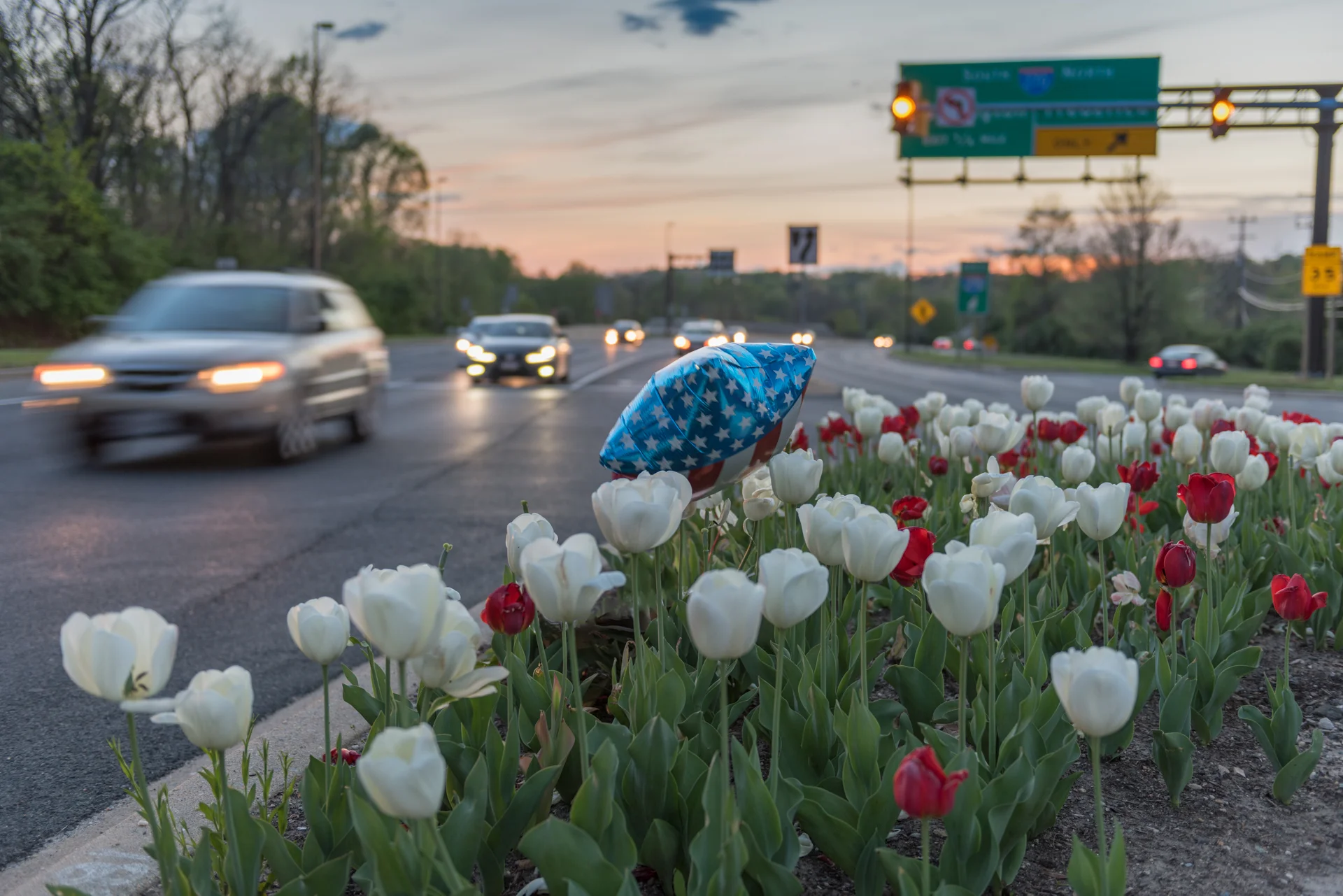 I love a median in springtime.