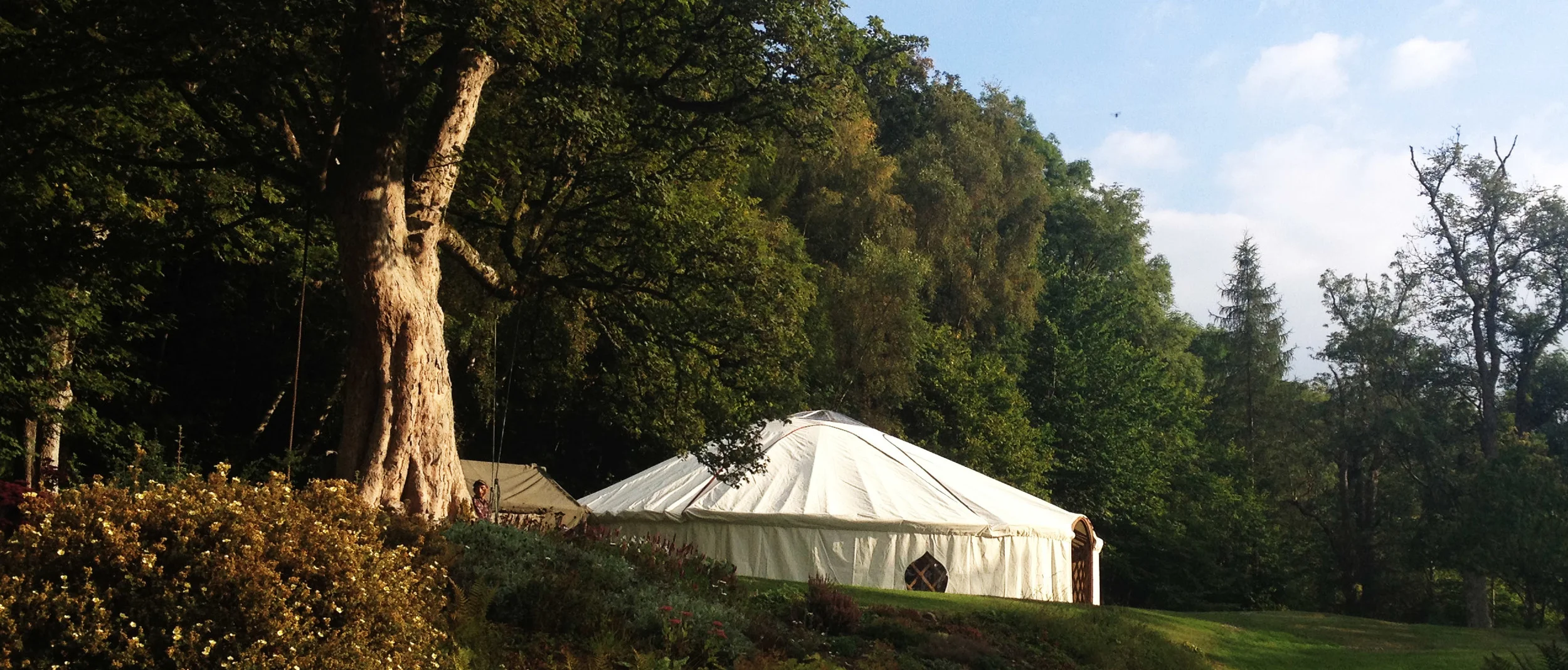 36ft wedding yurt.