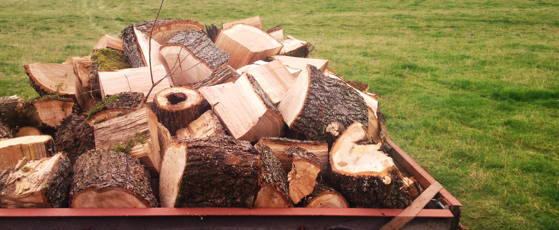 Sustainably sourced hardwood firewood, Kentchurch Estate, Herefordshire.