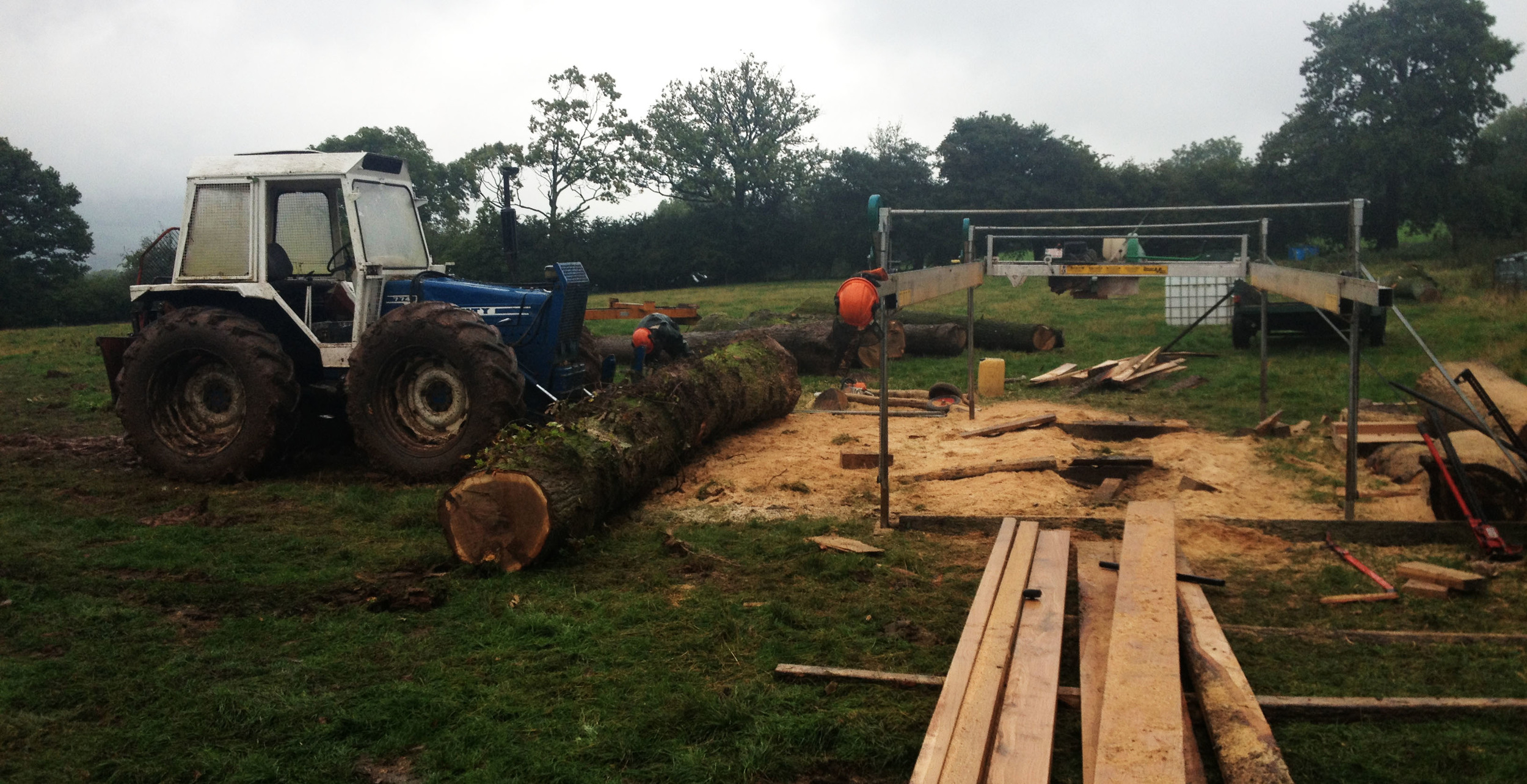 County and sawmill at work milling oak.