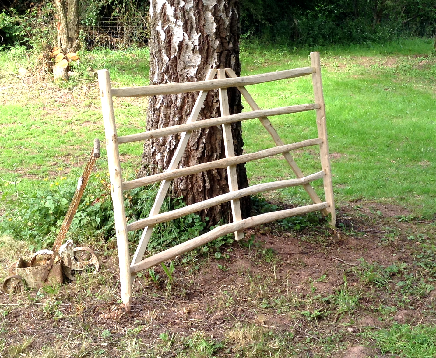 Cleft chestnut gate hurdle.