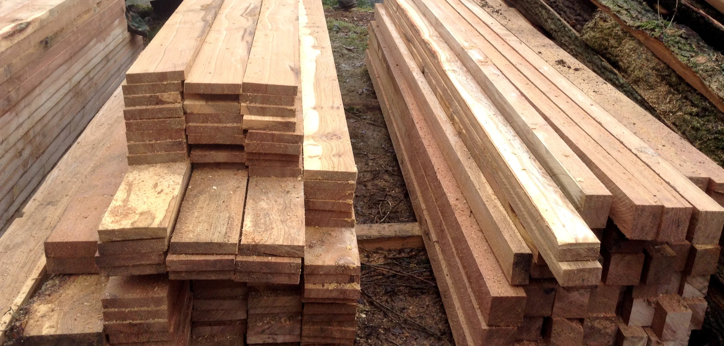 Sawn oak.