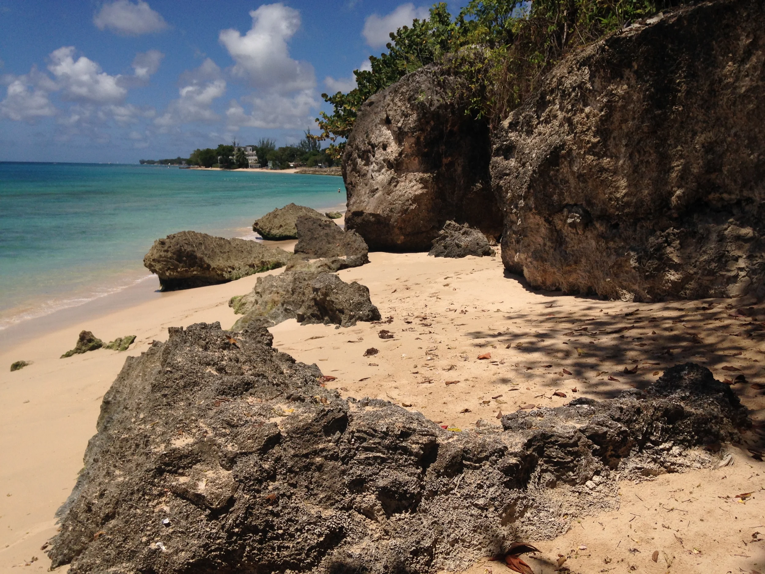 Rocky Shorelines