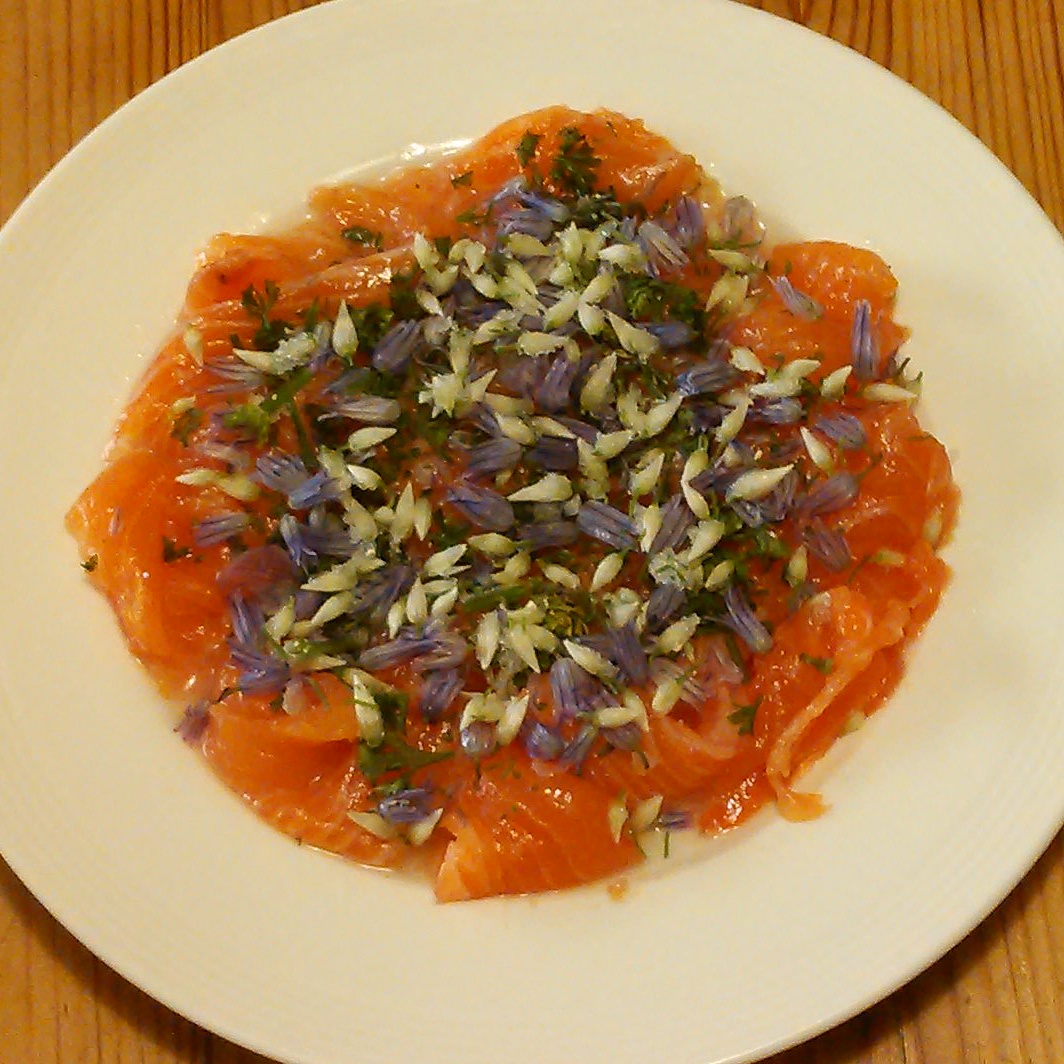   Sashimi med bl.a ramsløk,&nbsp;mjødurtsaft, gressløk- og ramsløkblomster  