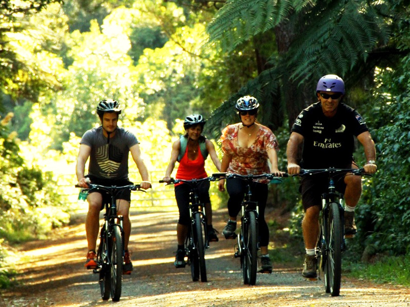 Cycle Remutaka, The Remutaka Cycle Trail, Wellington
