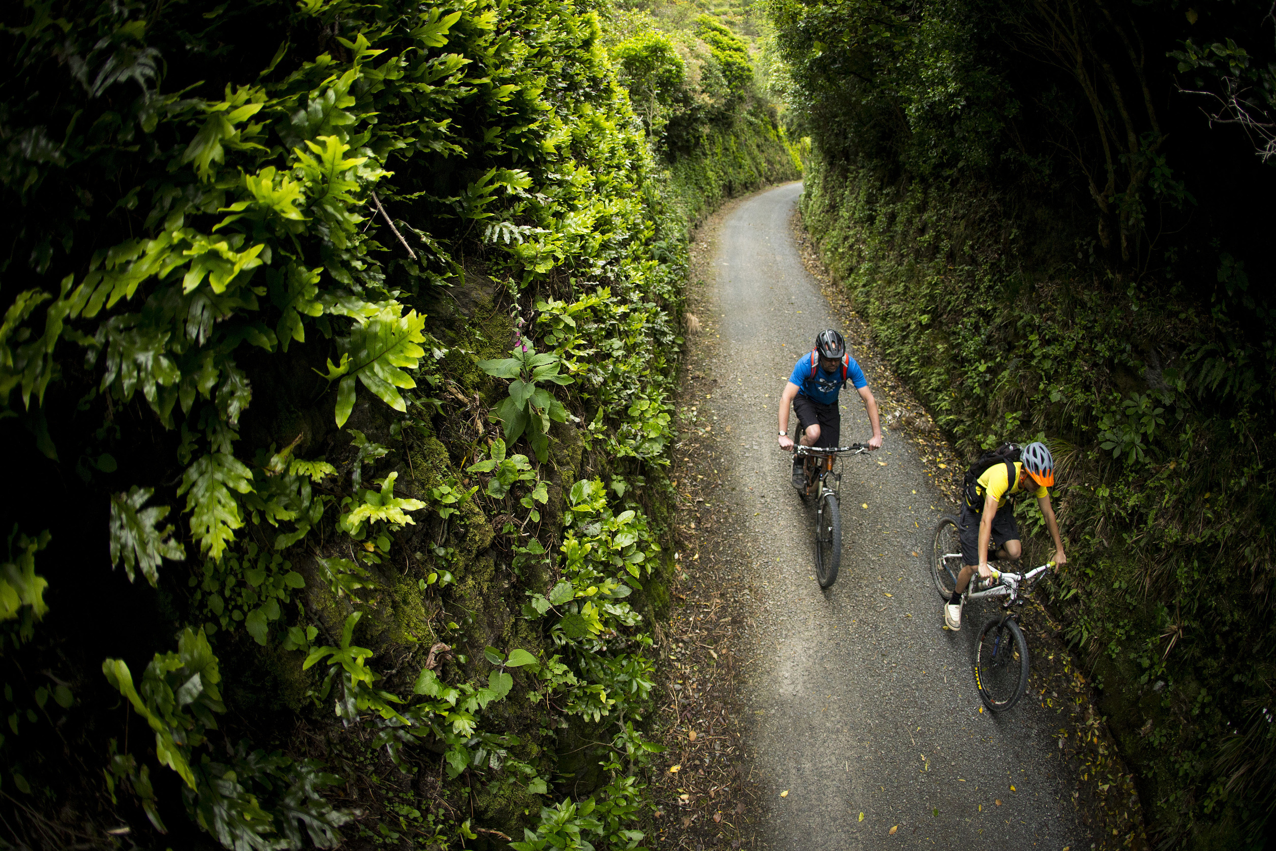 Rimutaka Cycle Trail - Pakuratahi Forest.jpg