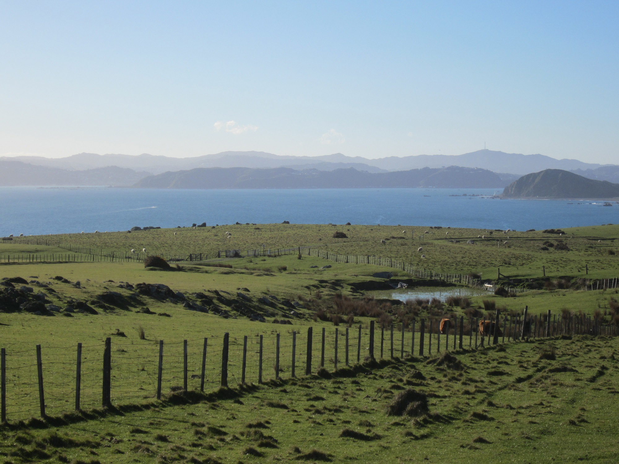 Pencarrow Extension - View from Baring Head.jpg