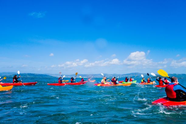 School kayak &amp; SUP group, The Boatshed - Days Bay, Wellington