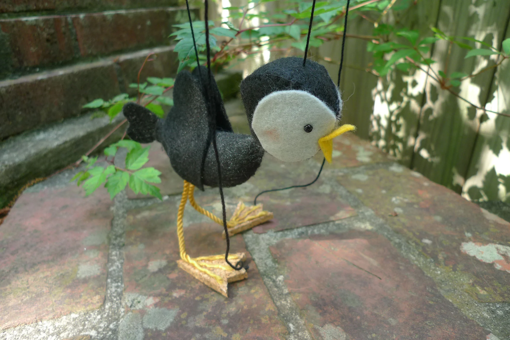 BlackBird.jpg