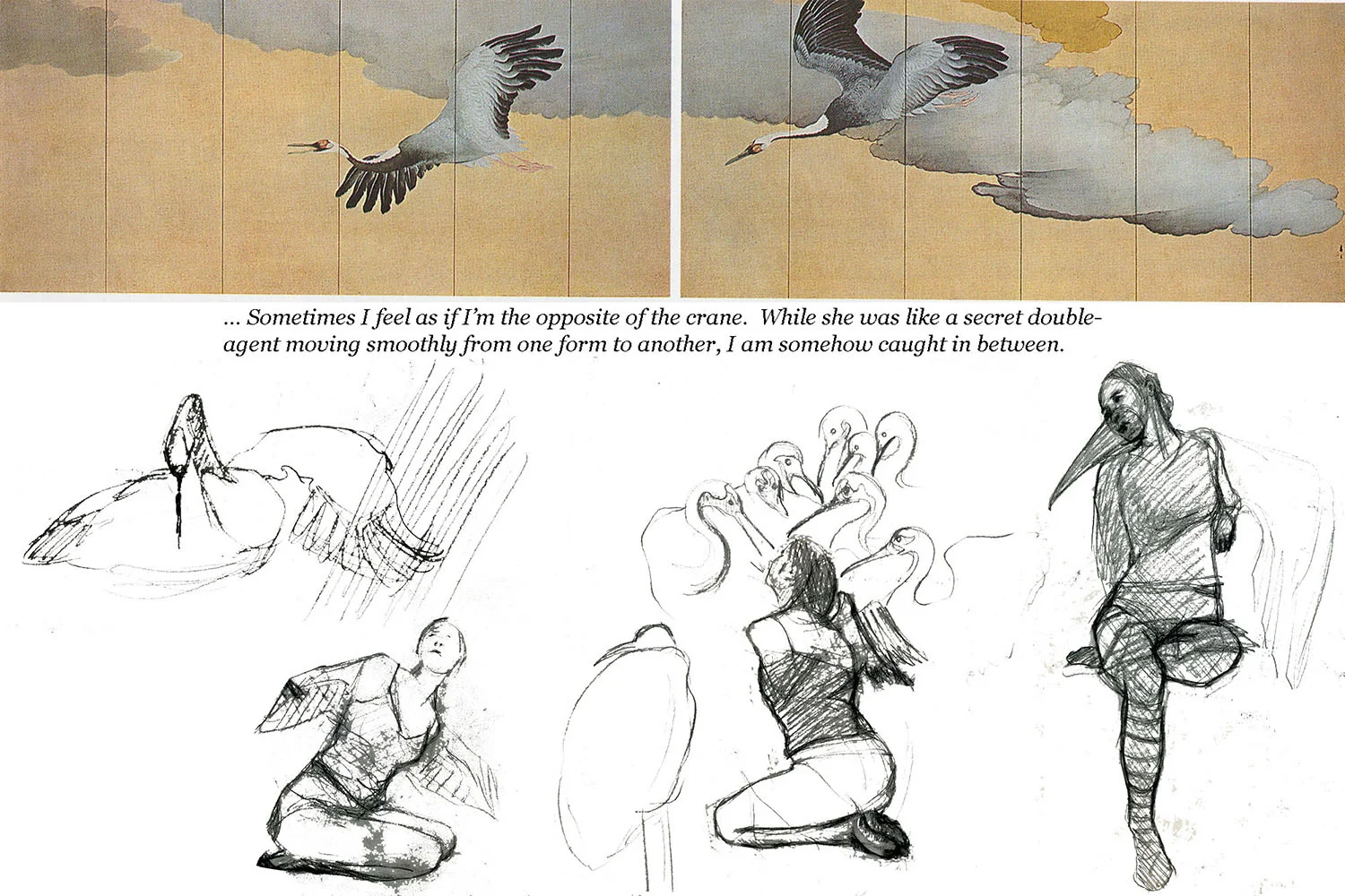 CraneWifeSketches.jpg