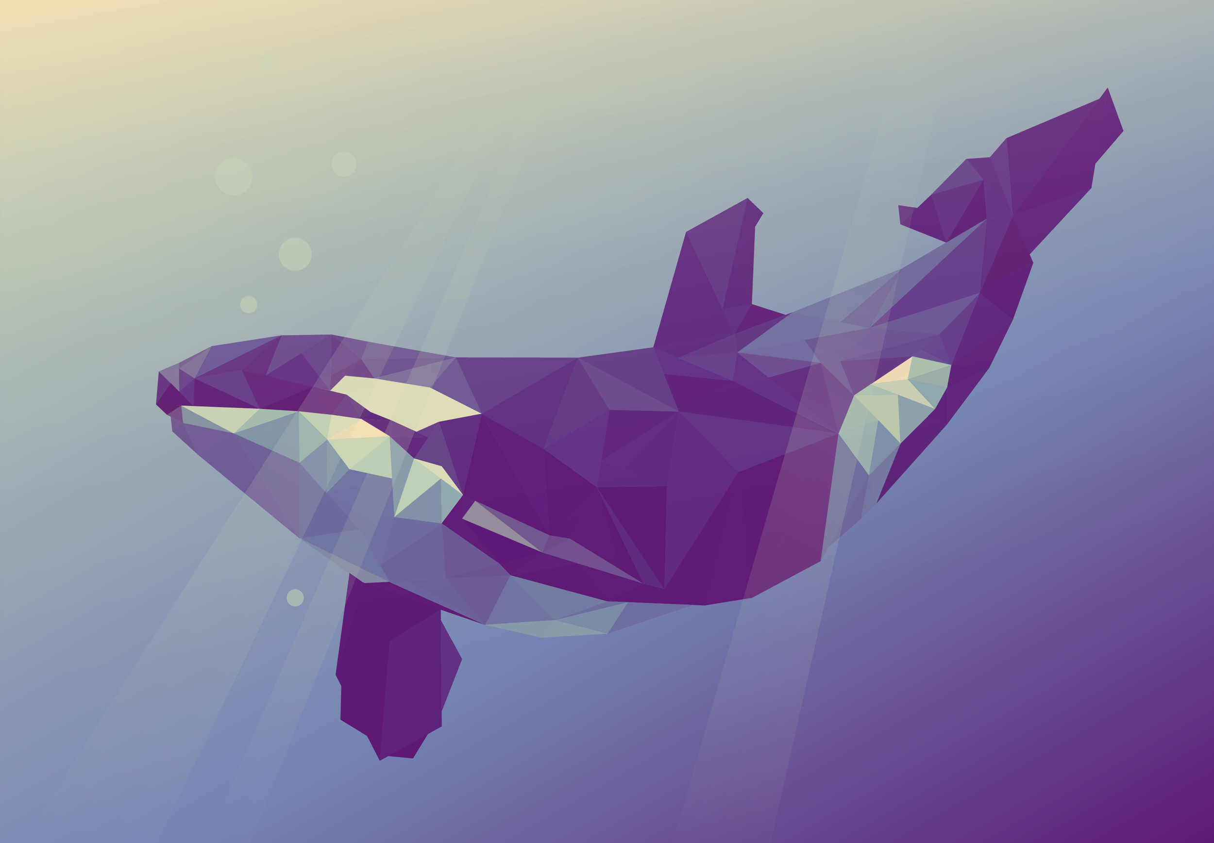 whale lowpoly.png