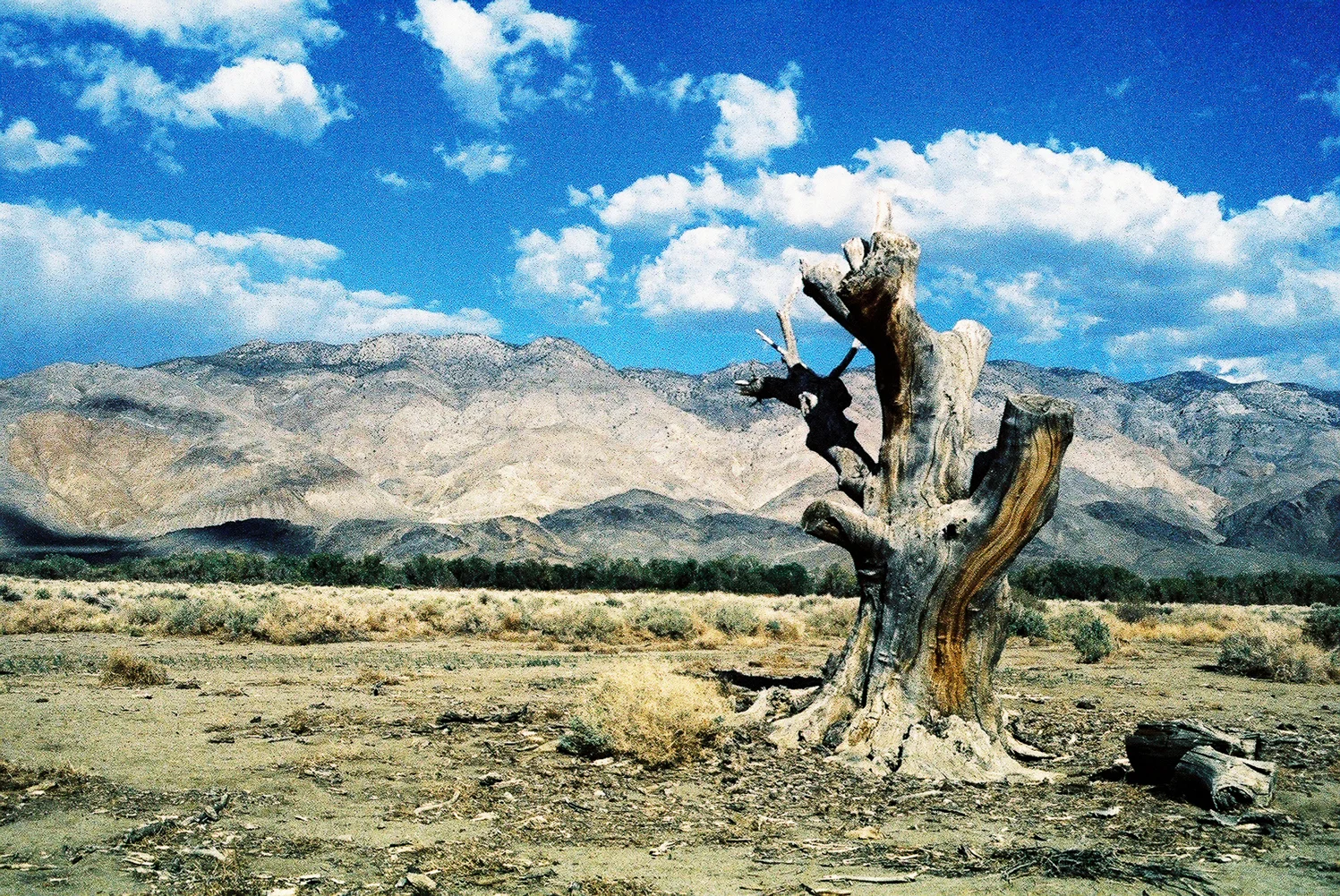 MammothDesert12-8.jpg