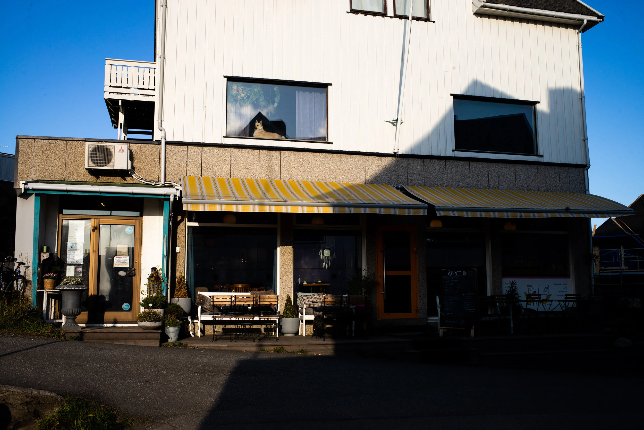L1007568.jpg