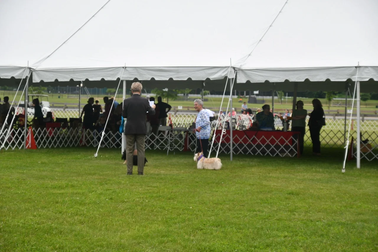 Veterans Parade.jpg