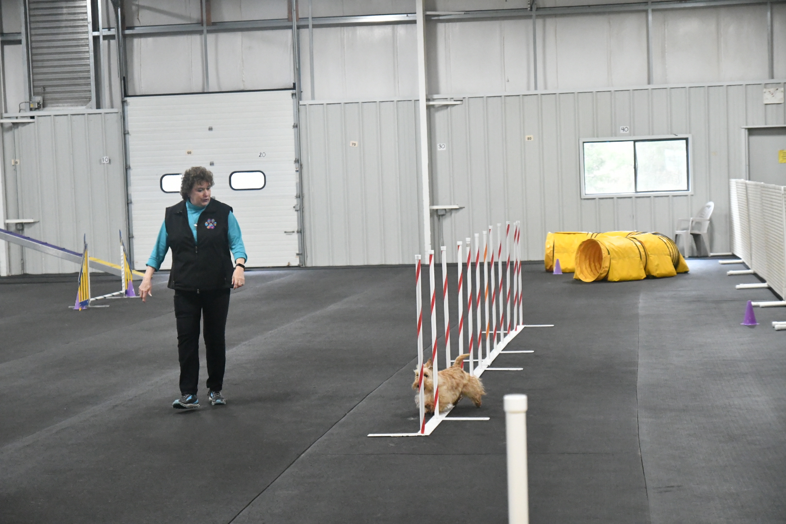 weave wheaton scot.JPG