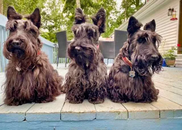 3 friends jack,arthur,and mac (1).jpeg