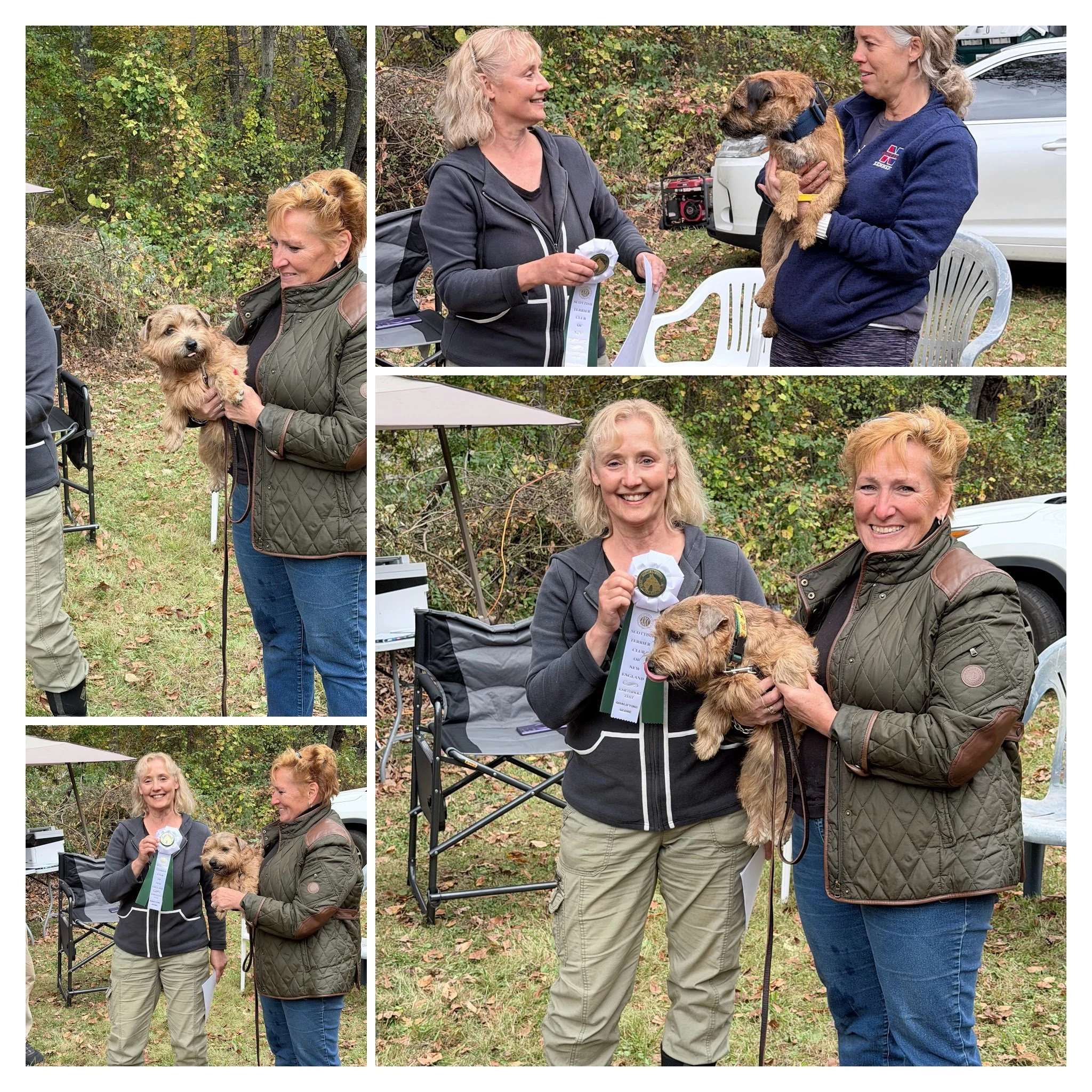 Earth dog trials