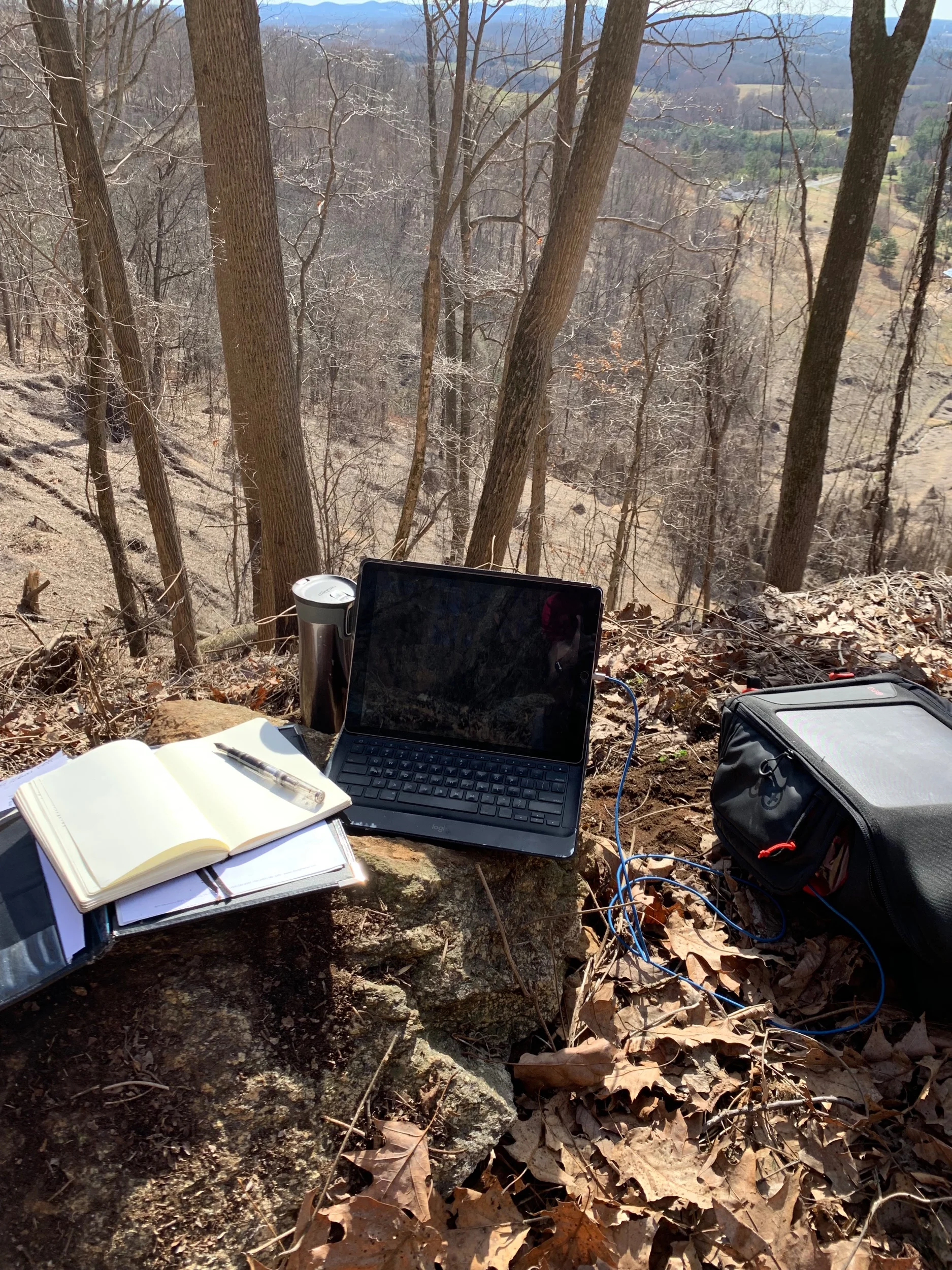 Four Strategies to Tackle the Flow of Endless Information