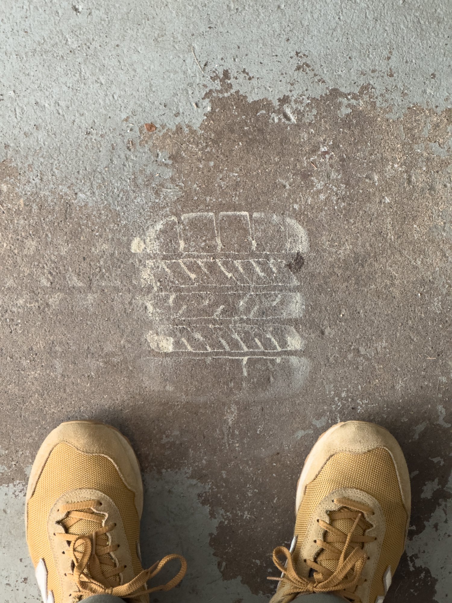 6.8.25