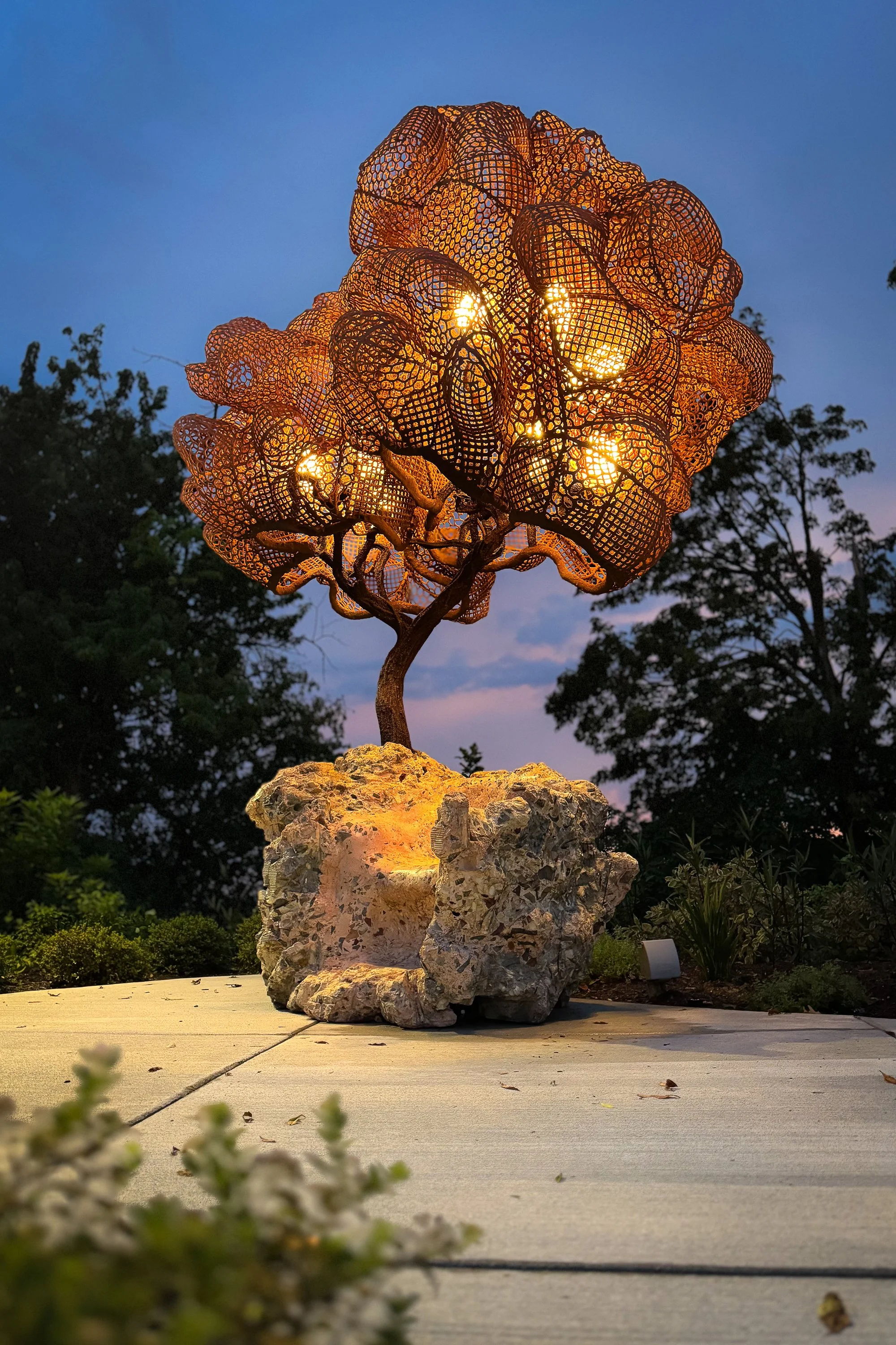 8.19.25
