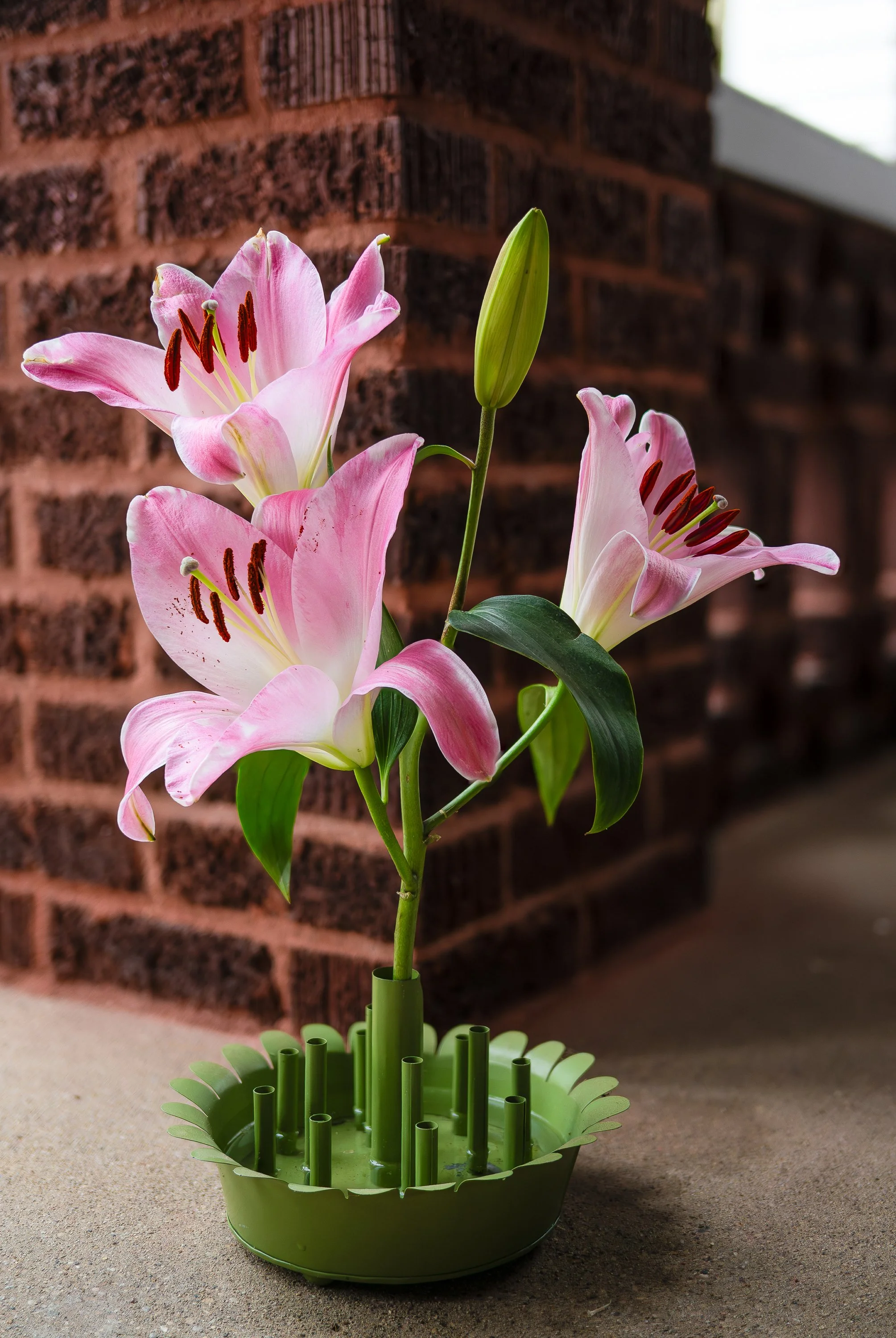 5.5.26