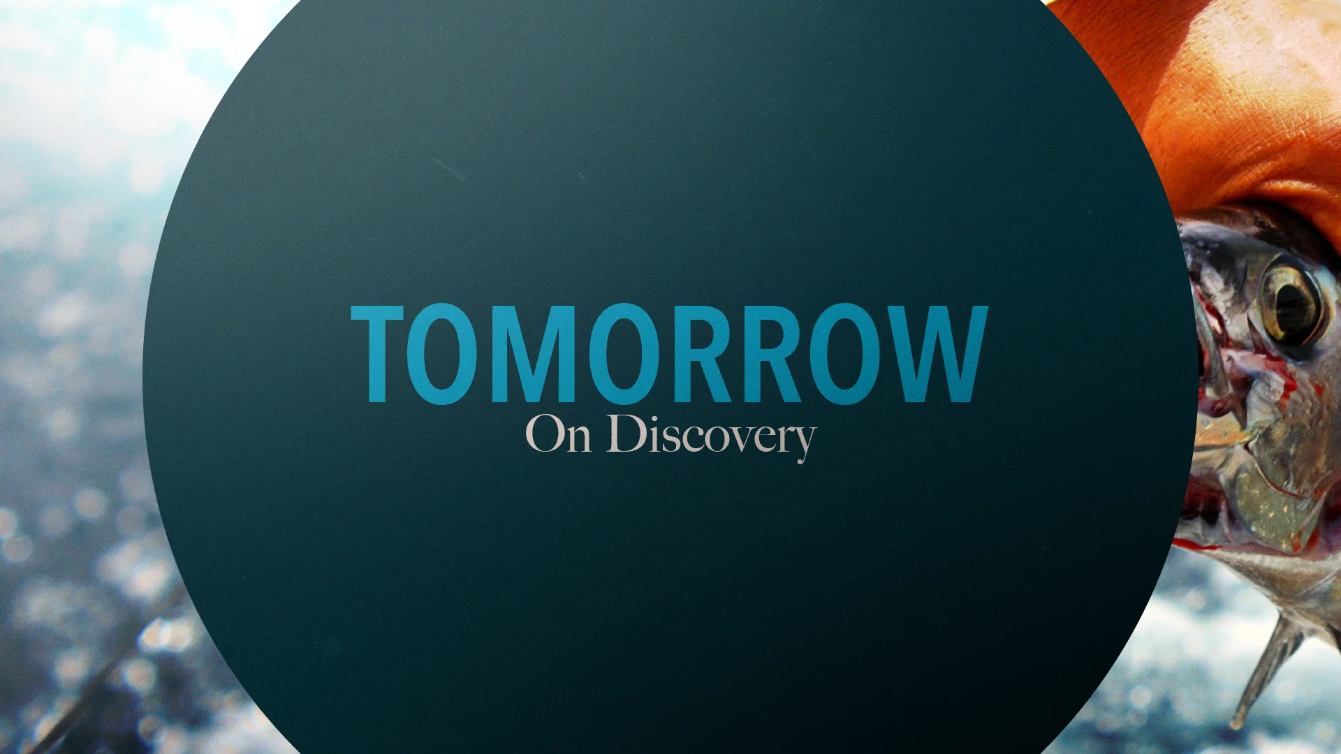 Tomorrow_DC_01.jpg