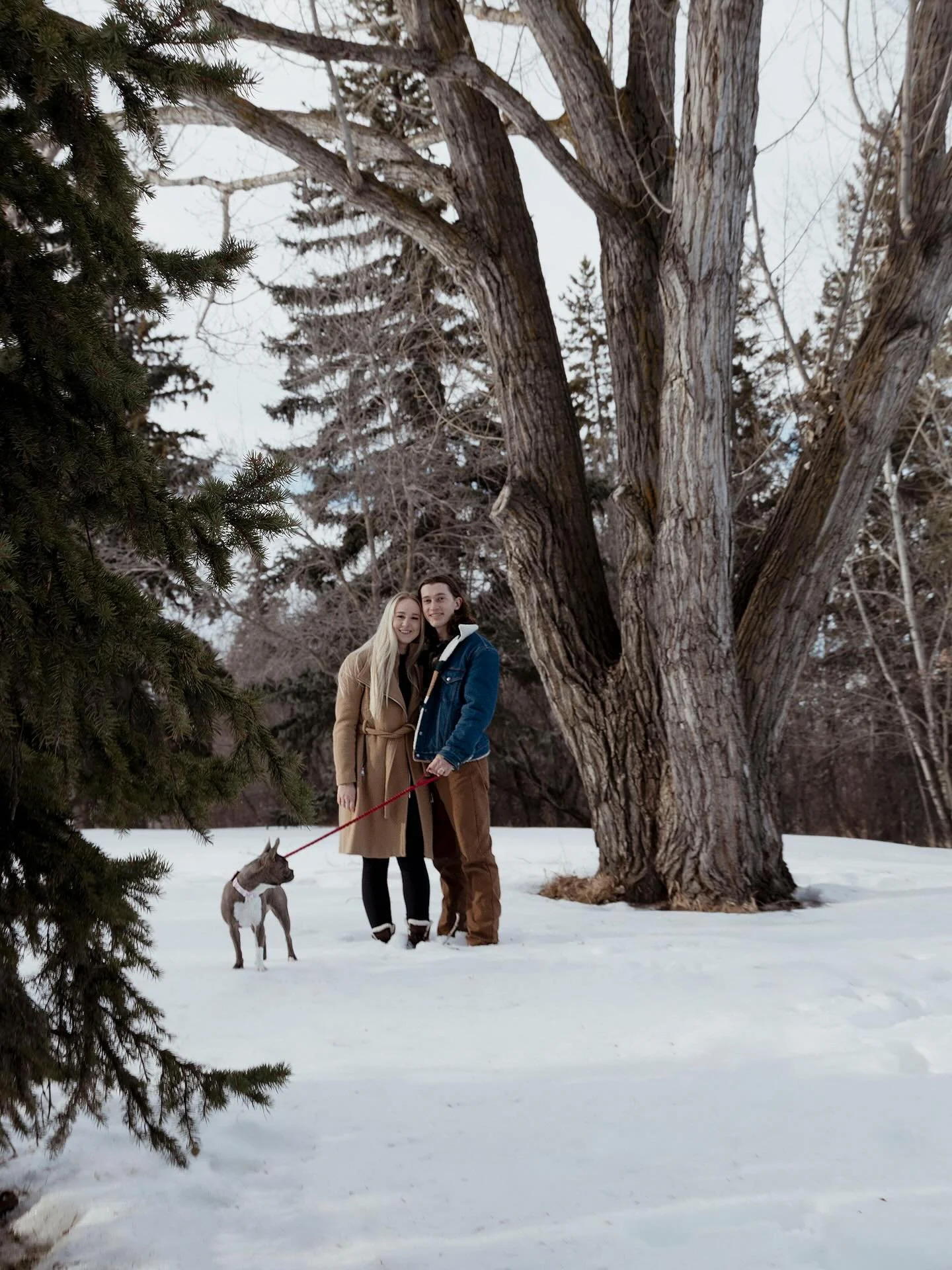 Ahh why is posting from instagram so difficult now? All my photos are randomized in my album??