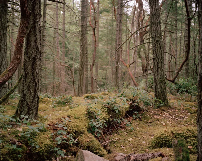 Mt. Parke, Mayne Island, B.C.