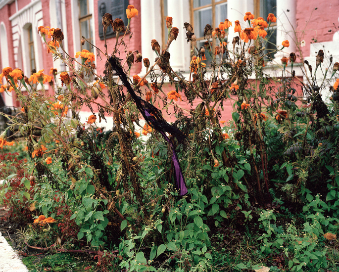 Thong discarded in dead bushes, Yaropoletz, Russia