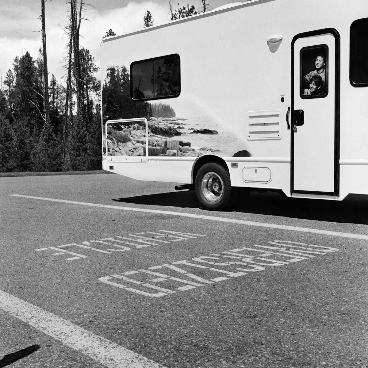 rattman_11_6_24_RVforest_edit.jpg