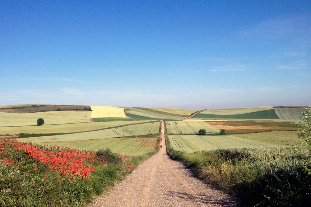 Oz, Grañon, Spain