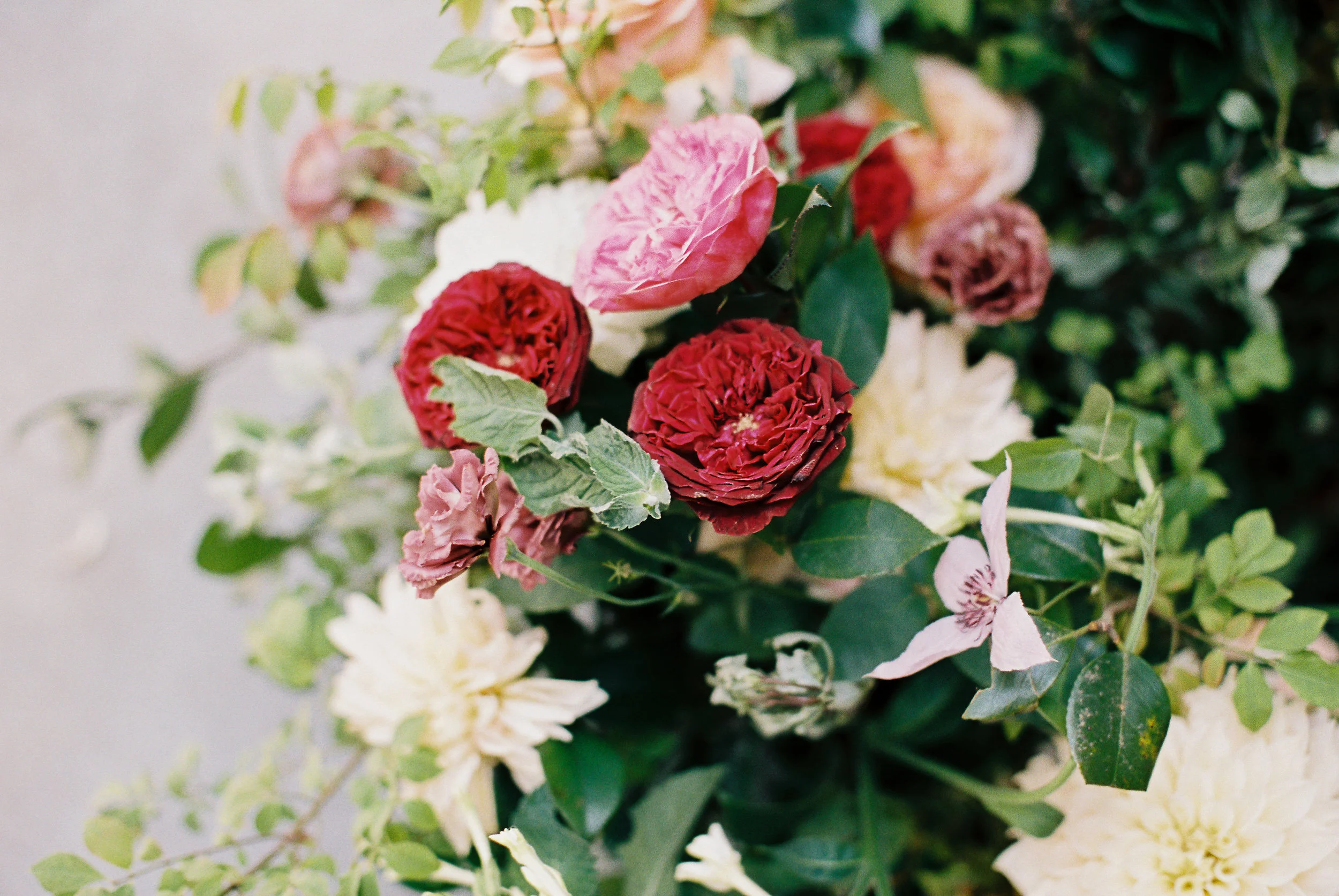 jenny haas photography