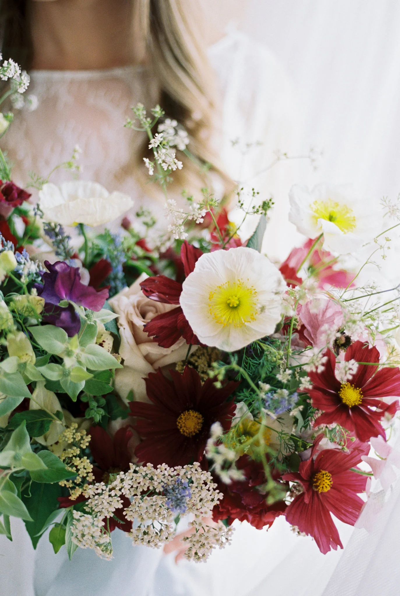 caroline koehler photography